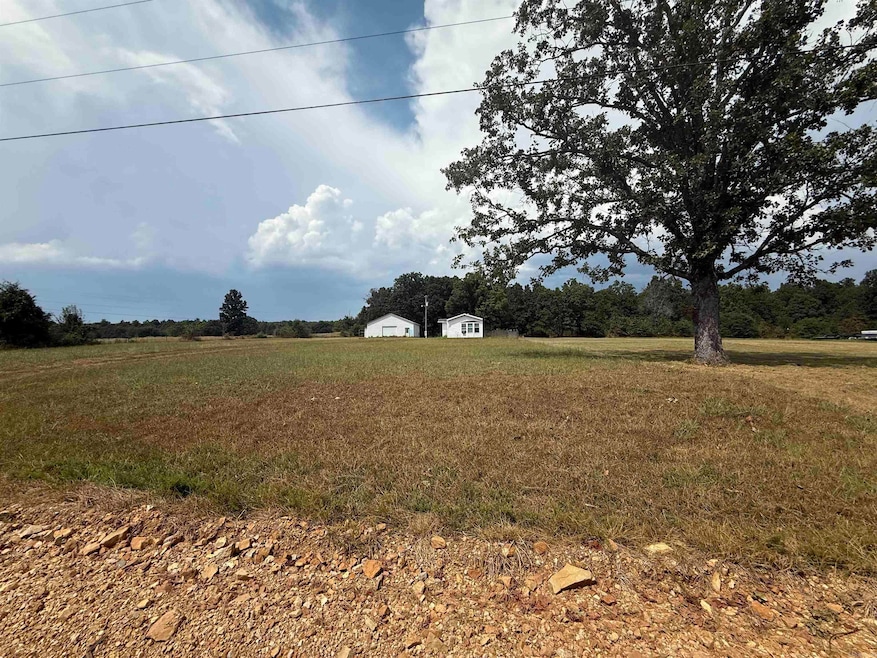 130 Pleasant Run Rd, Mammoth Spring, AR 72554 - photo 1