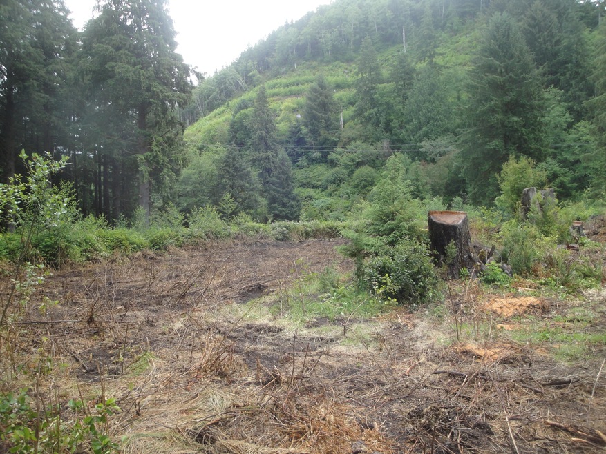 0 Miami Foley Rd unit 16-552, Nehalem, OR 97131 - photo 1