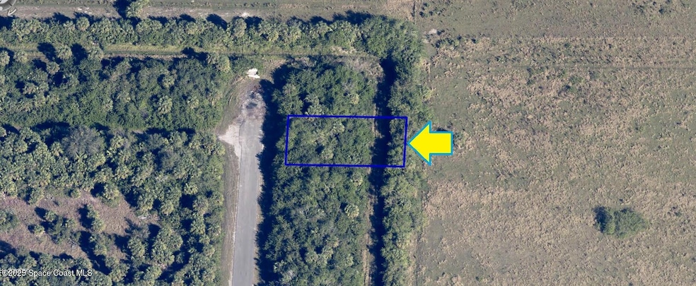 1431 Madden Ave, Palm Bay, FL 32908 - photo 1