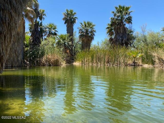 Lake Front