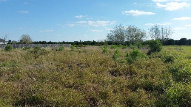 2408 Diana St, Donna, TX 78537 - photo 1