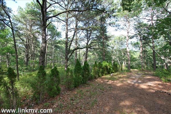 71,77, 79 Edgartown Vineyard Haven & 10 Gamba Rd, Oak Bluffs, MA 02557 - photo 1