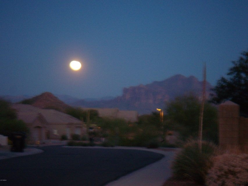 VIEW FROM FRONT YARD