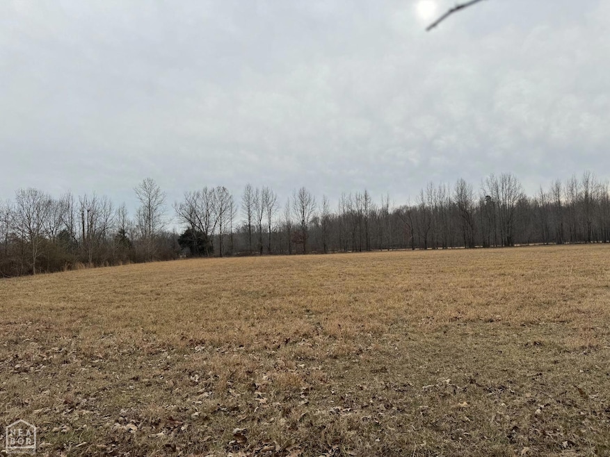 0 Greene 611 Tract A East Rd, Paragould, AR 72450 - photo 1