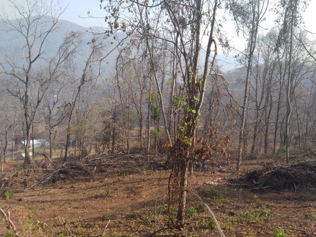 Main View