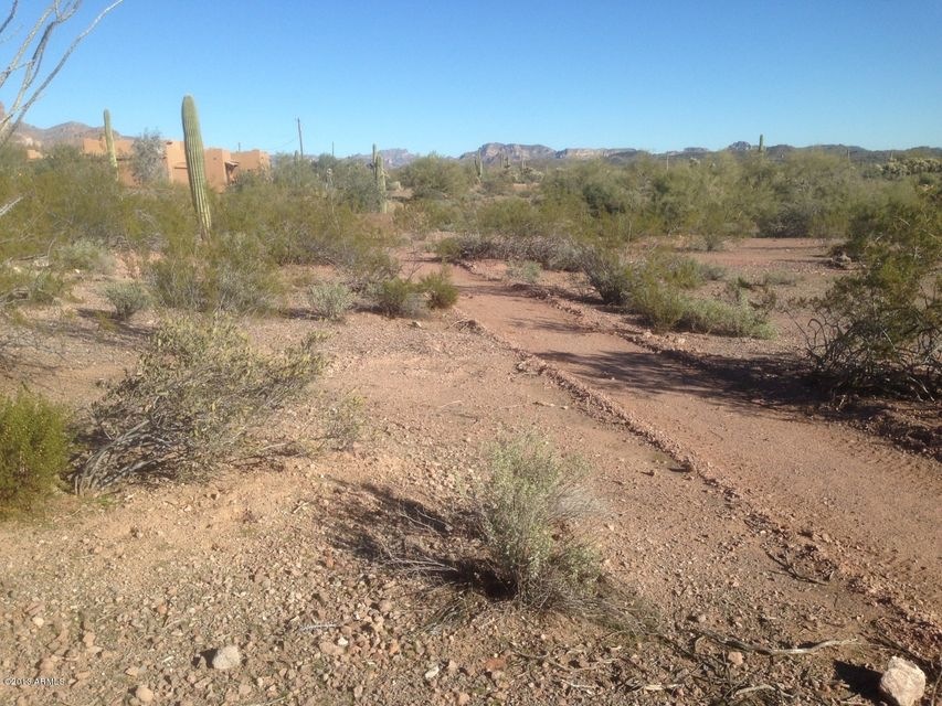 3733 KRC Back yard east view