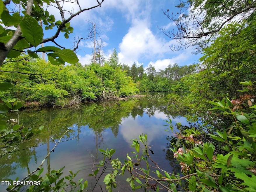 For Sale $23,000 • Co-Listing Agent