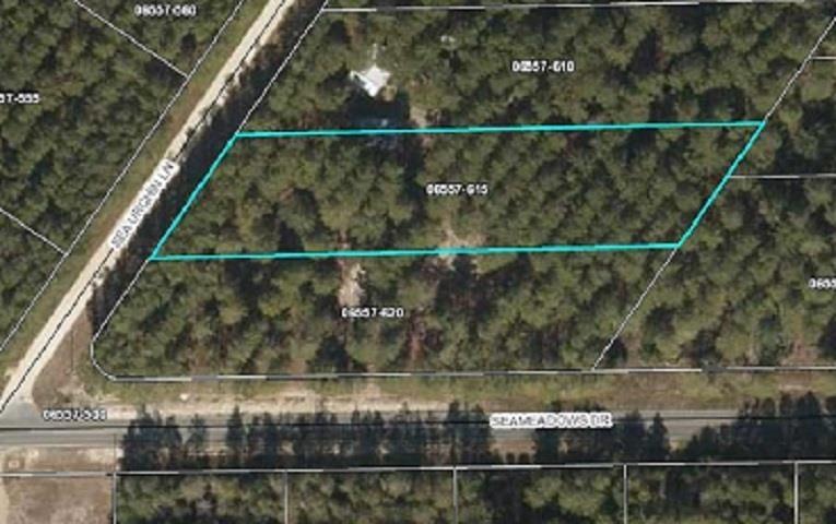 Vacant Sea Urchin Dr, Perry, FL 32348 - photo 1