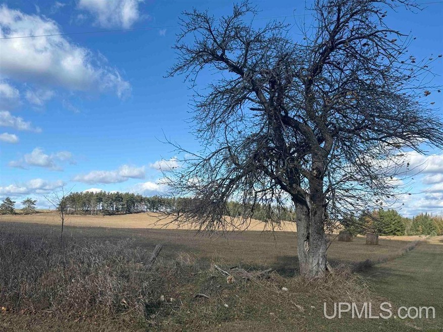 0 31 75 Rd unit 50194744, Carney, MI 49812 - photo 1