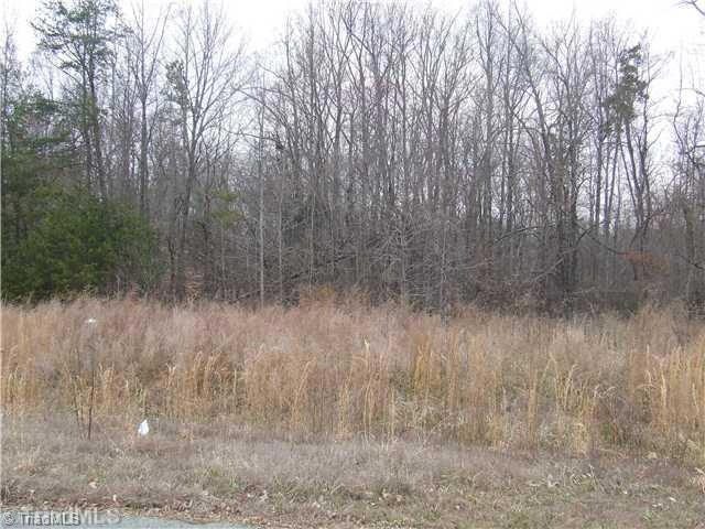 3265 Blue Moon Trail, Burlington, NC 27217 - photo 1