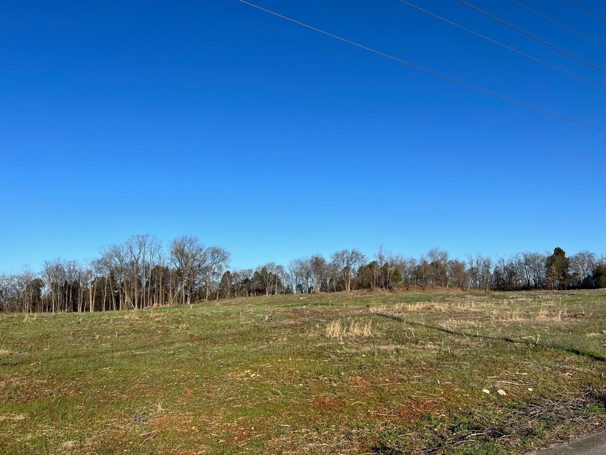 0 Galland Dr unit RTC2494677, Shelbyville, TN 37160 - photo 1