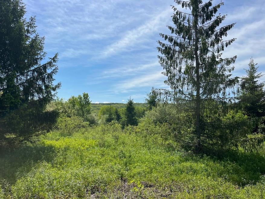 For Sale $49,900 • Co-Listing Agent