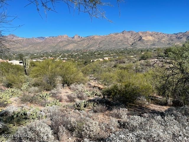 Catalina Mountain View Stunner!