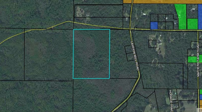 0 Shawn Whaley Rd, Crawfordville, FL 32327 - photo 1