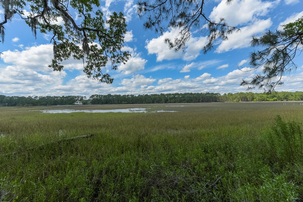 Marsh view