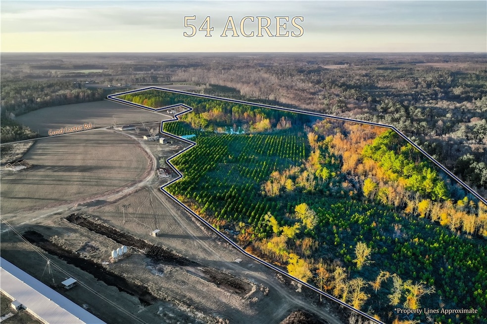 8802 Good Carter Rd, Nicholls, GA 31554 - photo 1