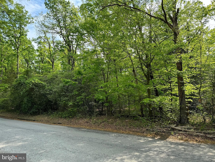 0 Old Marshall Hall Rd unit MDPG2145050, Accokeek, MD 20607 - photo 1