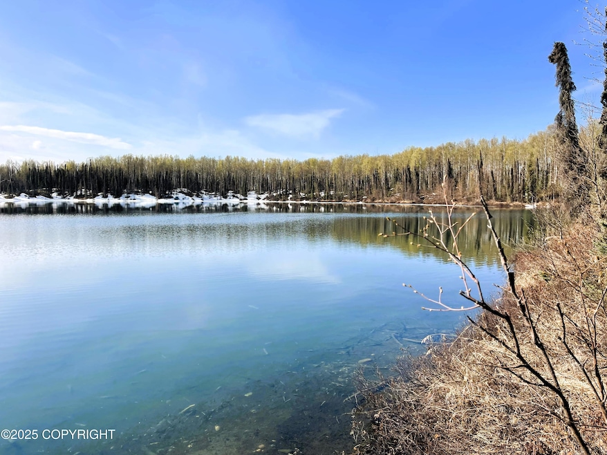 48555 Rainbow Ridge Dr, Willow, AK 99688 - photo 1