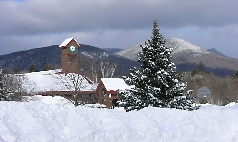 164 Deer Park Dr unit 163 B, Woodstock, NH 03262 - photo 1