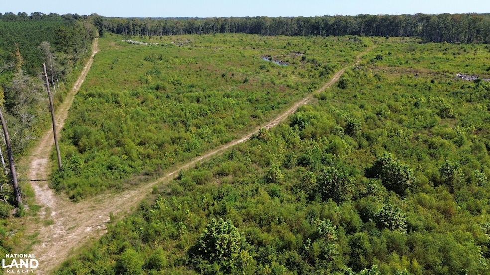 Tbd Highway 63, Ruffin, SC 29475 - photo 1