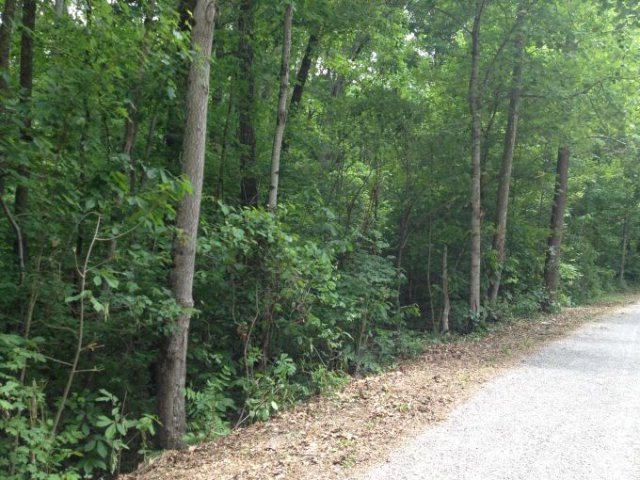 Lot 6 Sherwood Forest Rd, Livingston, TN 38570 - photo 1