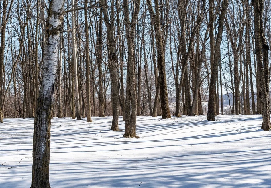 5418 Whalen Rd, Fitchburg, WI 53575 - photo 1