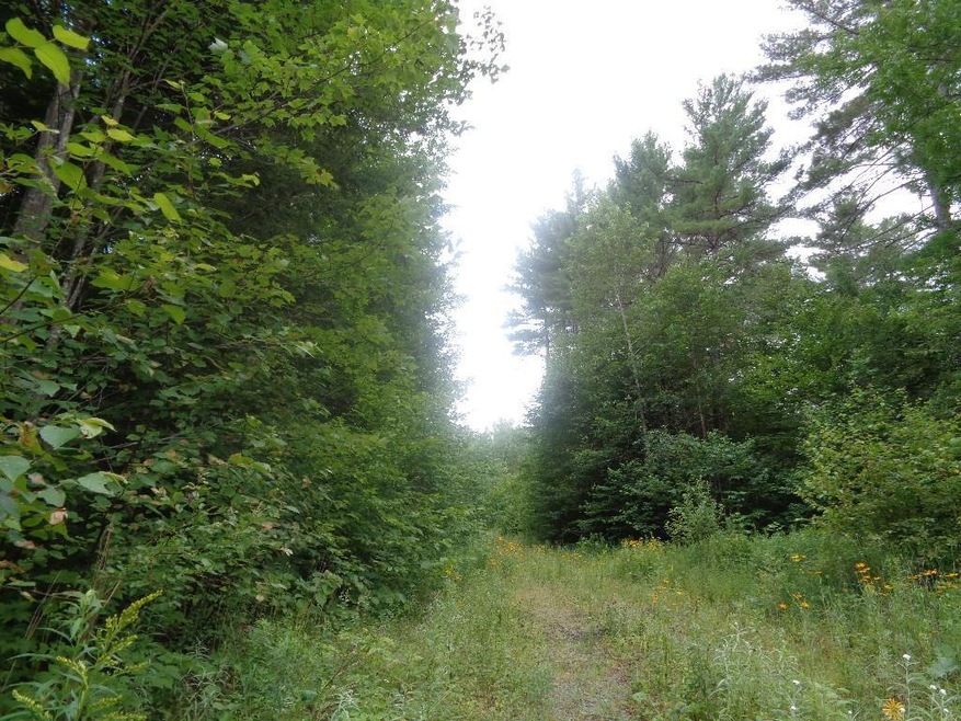 Land/Lot