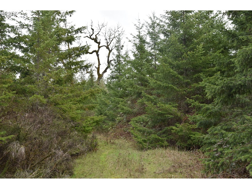 18400 Highway 22, Sheridan, OR 97378 - photo 1