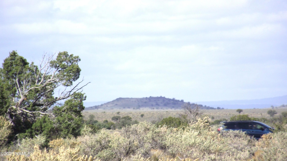 4620 S First Ave, Valle, AZ 86046 - photo 1