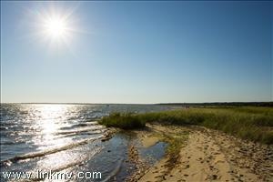 39 Harbor View Ave, Edgartown, MA 02539 - photo 1