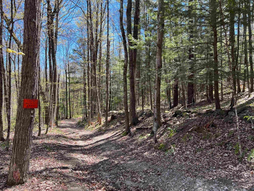 00 Ramsay Hill Rd, Walpole, NH 03608 - photo 1