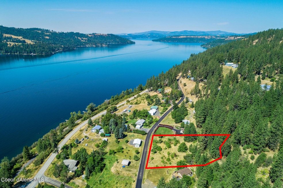 NNA Lacon, Harrison, ID 83833 - photo 1