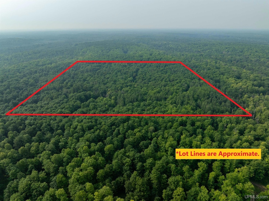 TBD S Ferguson Rd, Eben Junction, MI 49825 - photo 1