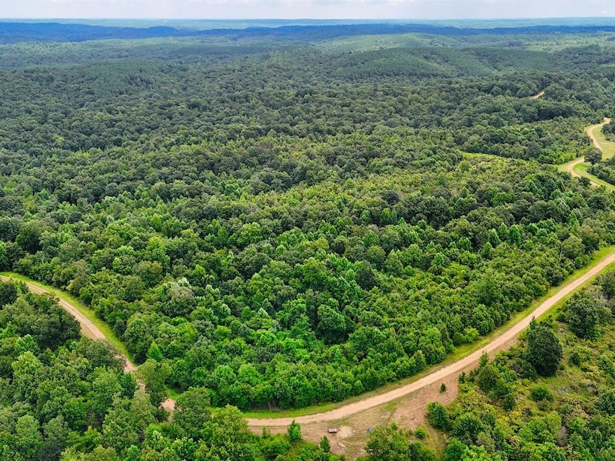 0 Shores Trail unit RTC3000397, Stewart, TN 37175 - photo 1