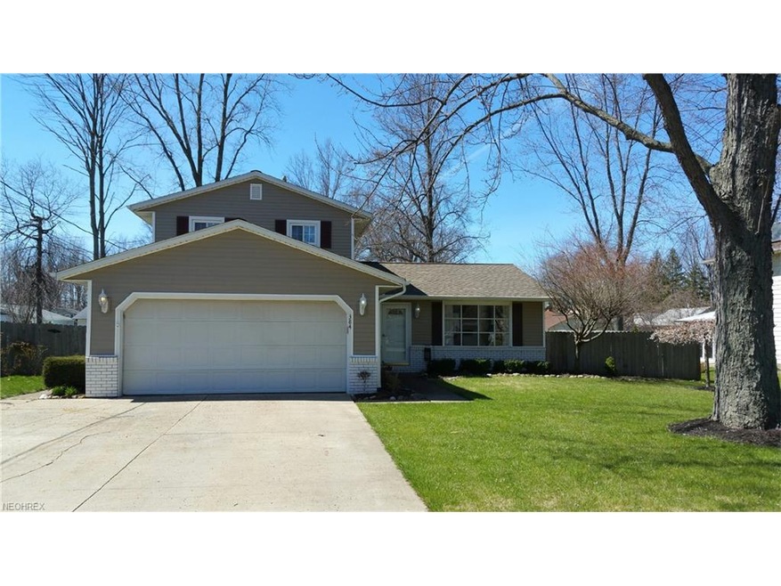 384 Maple Ave, Sheffield Lake, OH 44054 - photo 1