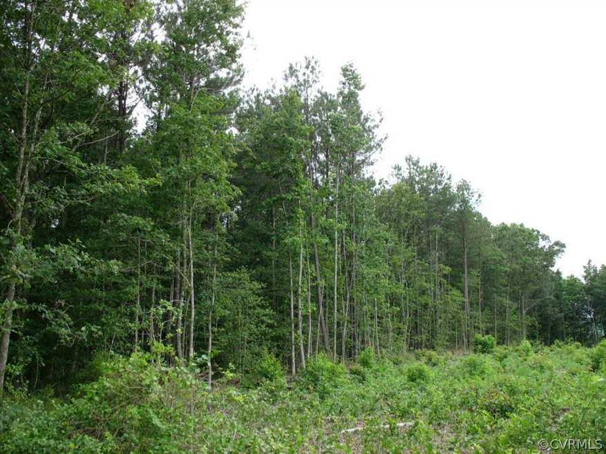 000 Golansville Rd, Caroline, VA 22546 - photo 1