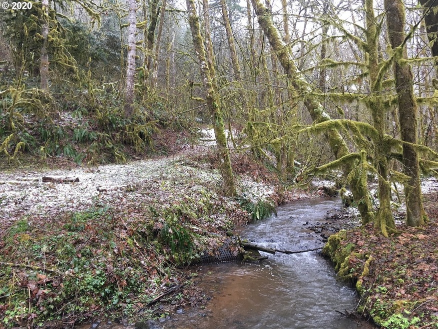 0 Beaver Creek Rd, Sheridan, OR 97378 - photo 1