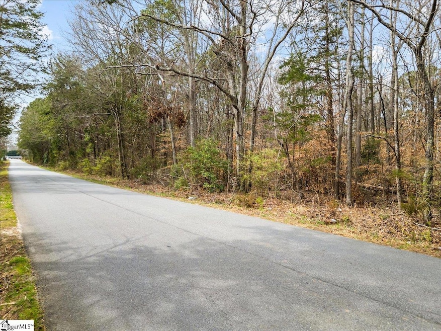 0 S Garrison Rd, Simpsonville, SC 29680 - photo 1