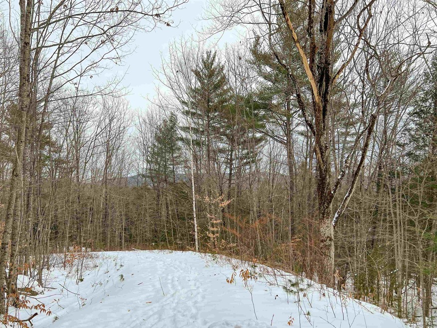 00 Fox Rd unit 18, Madison, NH 03849 - photo 1