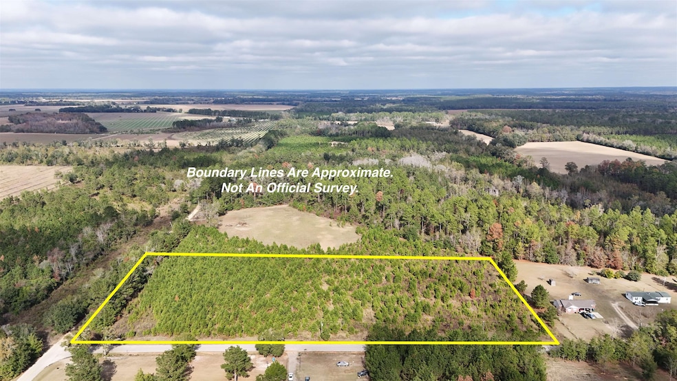 Vacant Cox Rd, Quincy, FL 32351 - photo 1