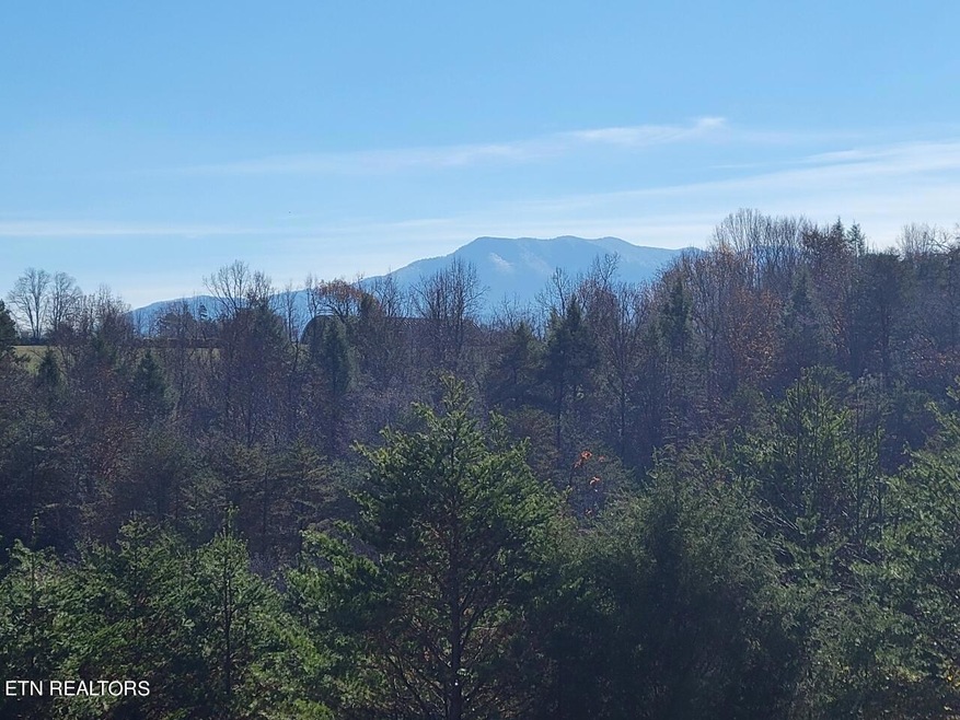 Sold $48,000 • Co-Listing Agent