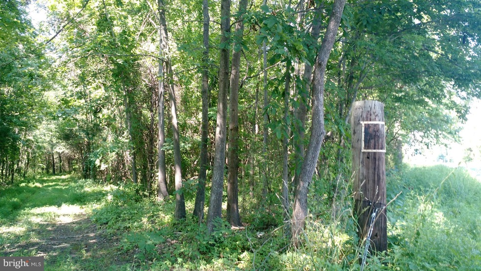 0 Hubbards Rd unit 1005207507, Elkwood, VA 22718 - photo 1