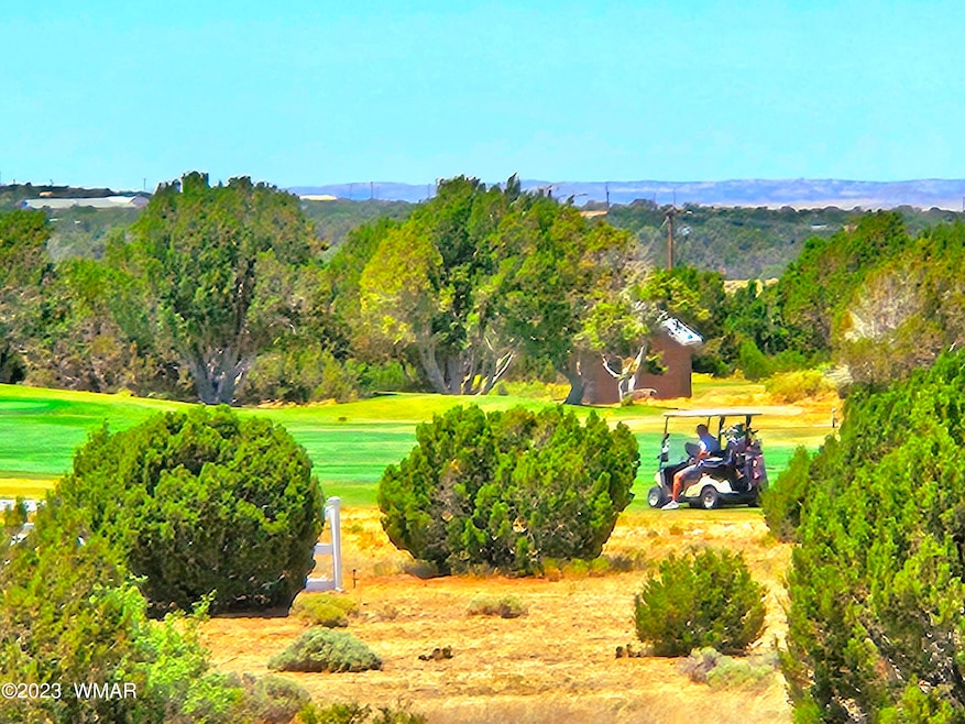 Eaglecrest Golfing