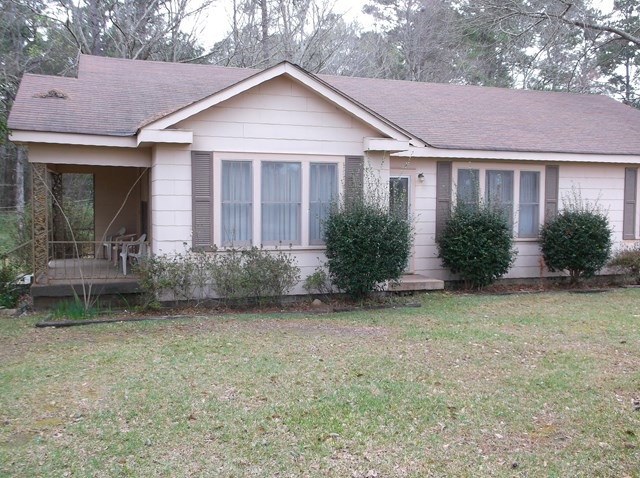 Main View