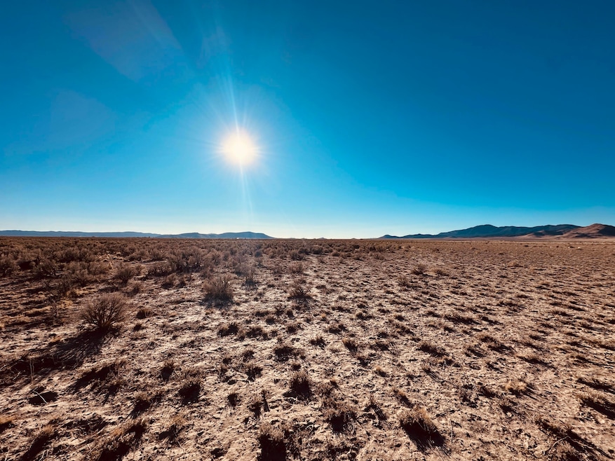 Desert Paradise