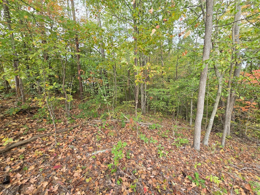 01 Headrick Cir SE, Dalton, GA 30721 - photo 1