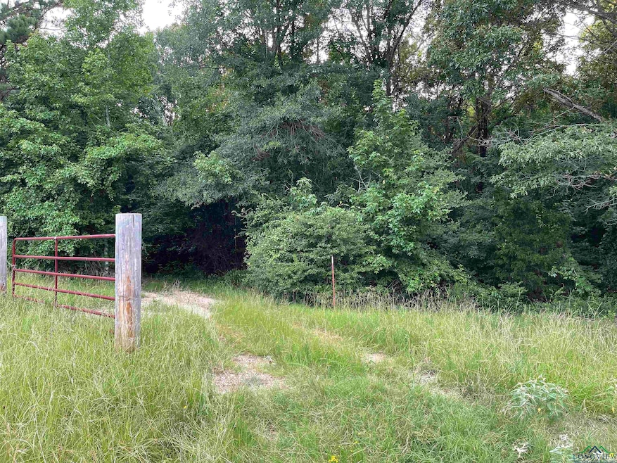 View of yard featuring a forest view