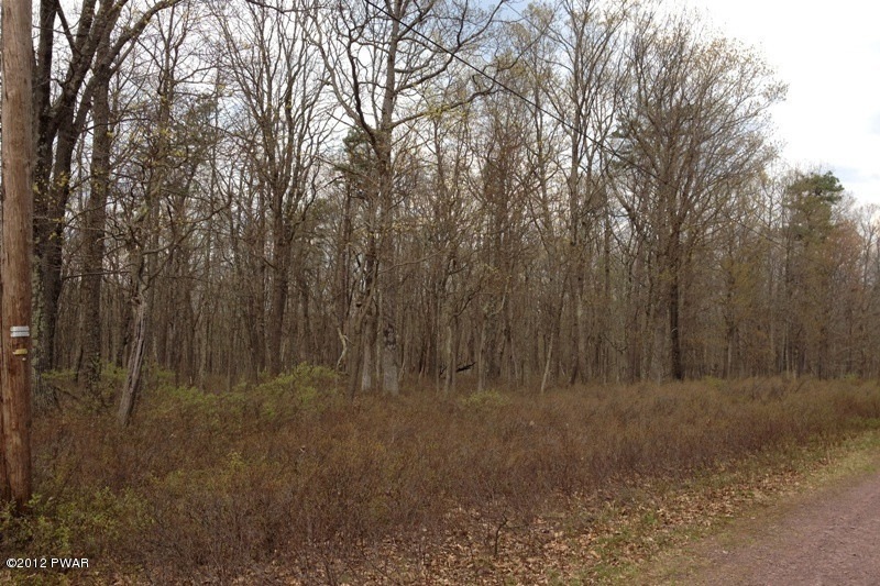 156 Mountain Top Rd, Lackawaxen Township, PA 18435 - photo 1