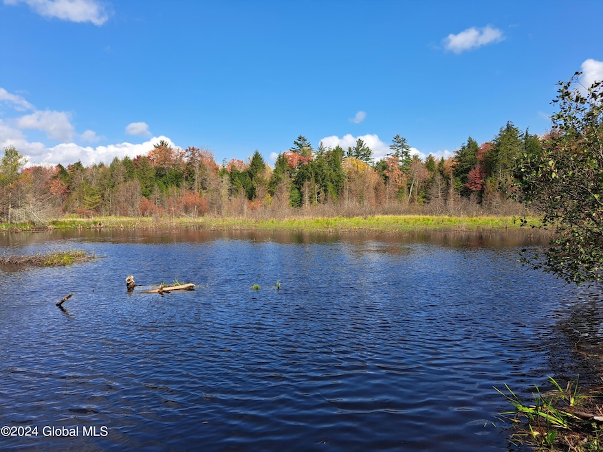 L9 Atateka Rd, Chester, NY 12817 - photo 1