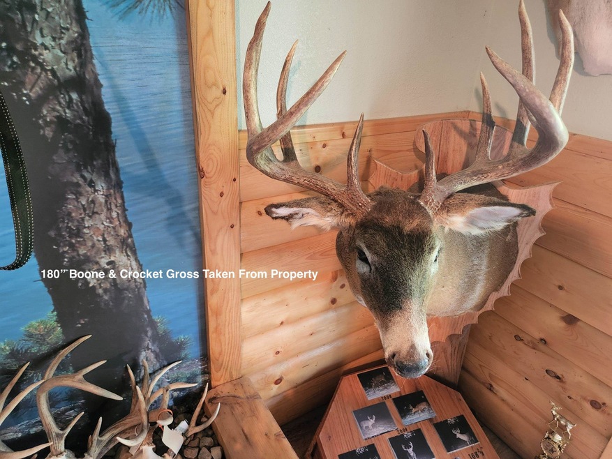 200 AC Fish Rd, New Lisbon, WI 53950 - photo 1